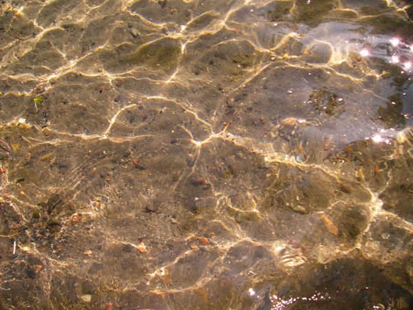 Clear water in lake Kuorinka