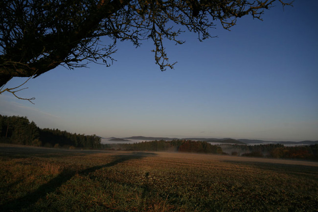 landscape morgen 015