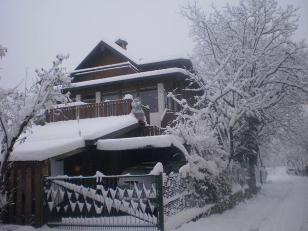 italian building (63)