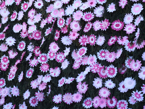 02 A wall of the school