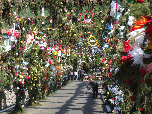 03 Walking in the street