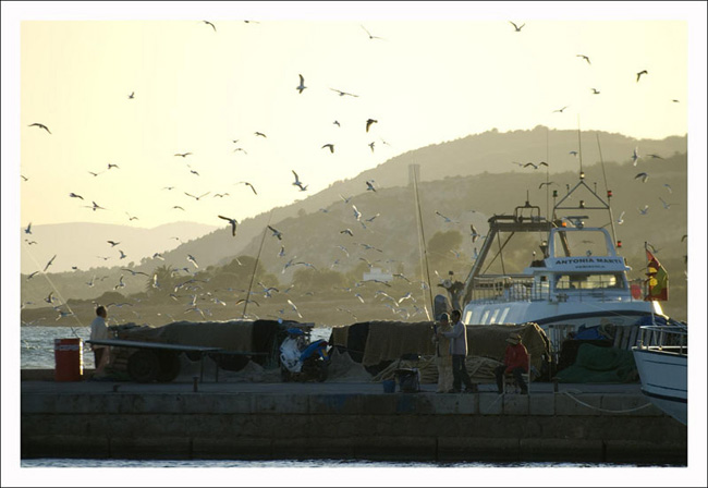 03_4322463933_3e3d21bb40_b