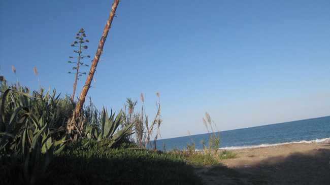 05_17 _10_09 dissabte 088